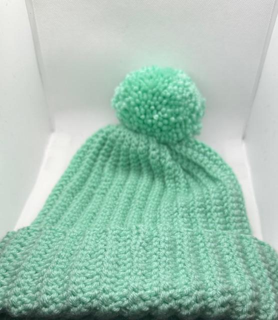 Dark Mint Green with Pom Beanie Adult