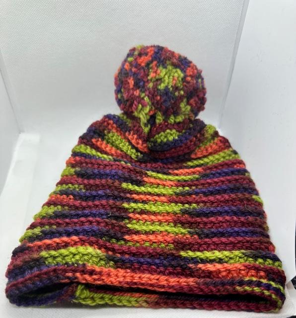 Multi Color with Pom Beanie Kids